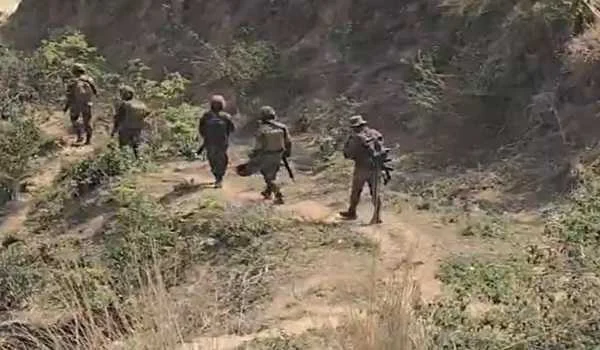 जम्मू-कश्मीर: कठुआ के रामकोट इलाके में ताजा गोलीबारी के बाद तलाशी अभियान तेज