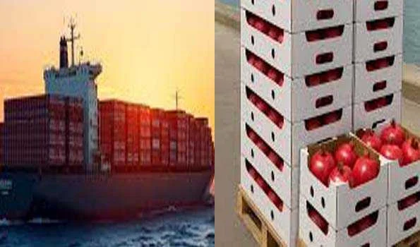 पहली बार समुद्र के रास्ते अमेरिका पहुंचा भारतीय अनार, दिखी निर्यात की अच्छी संभावना