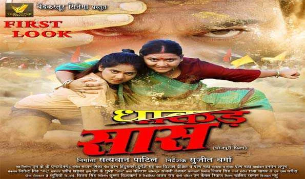 फिल्म धाकड़ सास का फर्स्ट लुक रिलीज