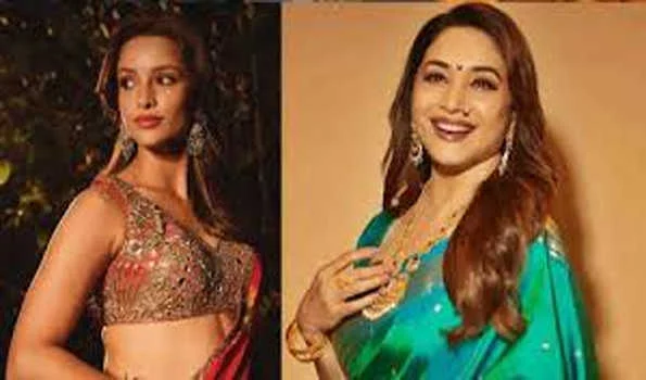 माधुरी दीक्षित के साथ फिर काम करेंगी तृप्ति डिमरी