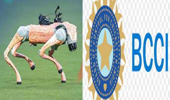 आईपीएल के रोबोटिक स्वान ‘चंपक’ को लेकर बच्चों की पत्रिका ने खटखटाया हाईकोर्ट का दरवाजा