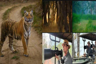 लुप्तप्राय प्रजातियों को संरक्षित करने की जरूरत: रणदीप हुड्डा