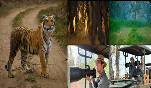 लुप्तप्राय प्रजातियों को संरक्षित करने की जरूरत: रणदीप हुड्डा