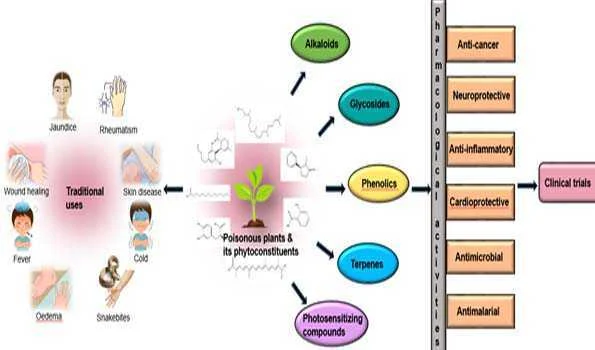 गुवाहाटी संस्थान के वैज्ञानिकों ने “जहरीले पौधों के औषधीय गुण” का पता लगाया