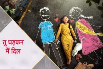 स्टार प्लस के नये शो ‘तू धड़कन मैं दिल’ का प्रोमो रिलीज़