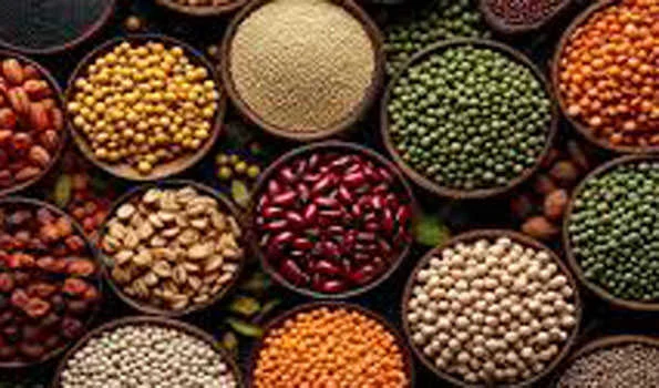 चावल-चीनी नरम, गेहूं मजबूत, खाद्य तेलों-दालों में घट-बढ़