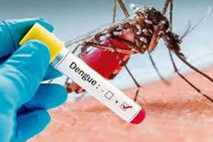बंगलादेश में पिछले 24 घंटों में डेंगू के 983 नए मामले, छह और मरीजों की मौतें