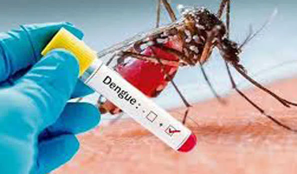 बंगलादेश में पिछले 24 घंटों में डेंगू के 983 नए मामले, छह और मरीजों की मौतें