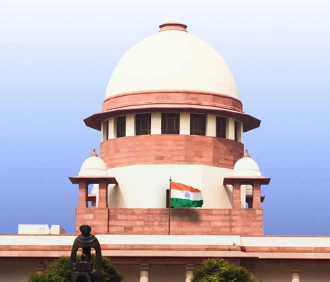 नसबंदी अभियान फेल, सुप्रीम कोर्ट के निर्देशों की उड़ाई धज्जियां