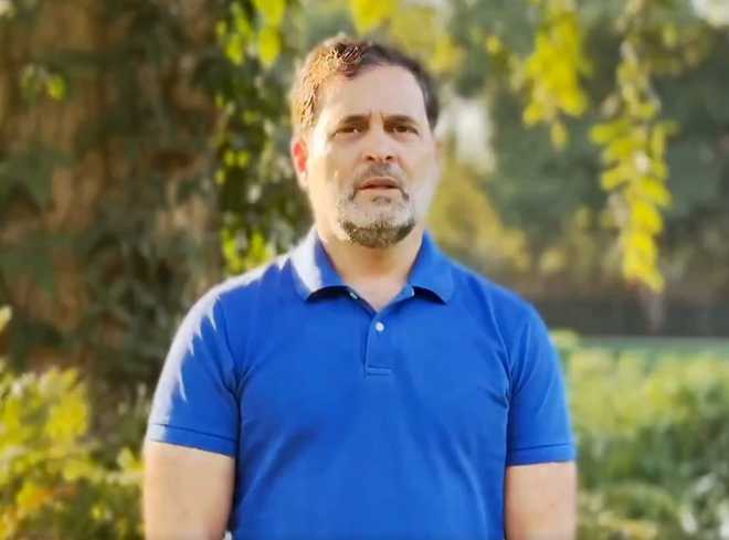 कांग्रेस नेता राहुल गांधी की
